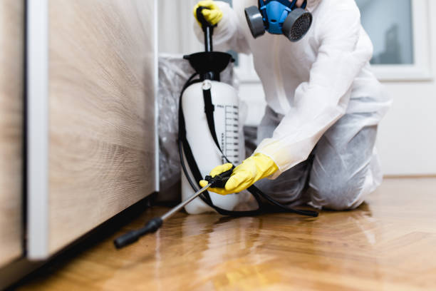 Best Cockroach Control Services  in Wickenburg, AZ