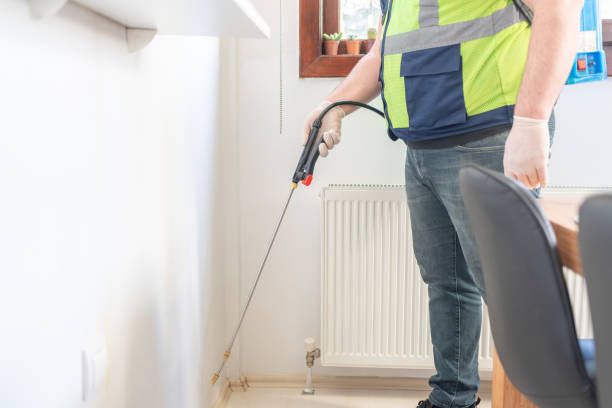 Best Pest Control for Homes  in Wickenburg, AZ