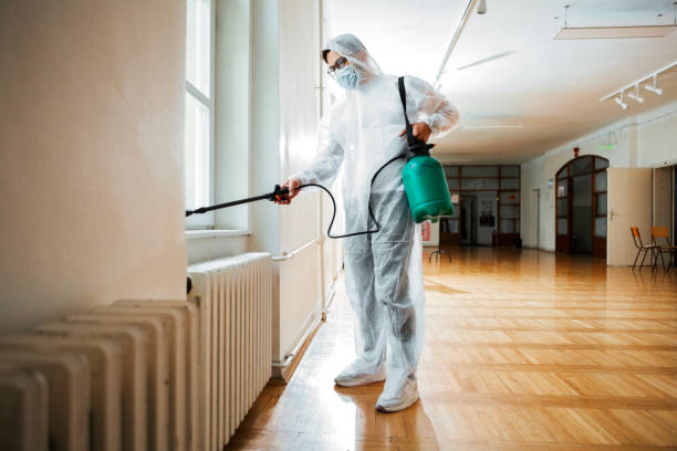 Best Local Pest Control Services  in Wickenburg, AZ