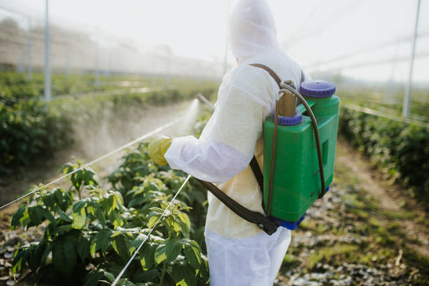 Wildlife Control Services in Wickenburg, AZ